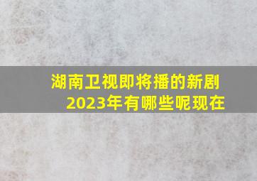 湖南卫视即将播的新剧2023年有哪些呢现在