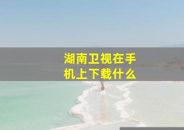 湖南卫视在手机上下载什么