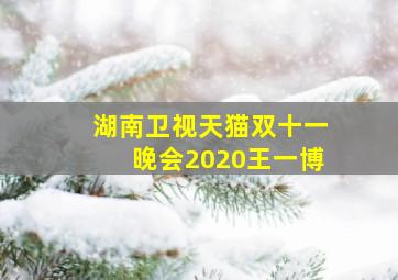 湖南卫视天猫双十一晚会2020王一博