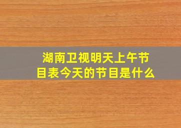 湖南卫视明天上午节目表今天的节目是什么