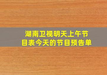 湖南卫视明天上午节目表今天的节目预告单