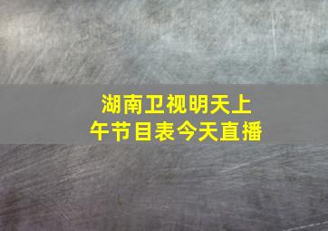 湖南卫视明天上午节目表今天直播