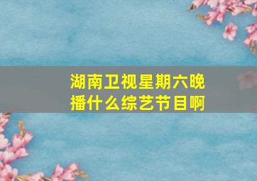 湖南卫视星期六晚播什么综艺节目啊