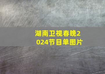 湖南卫视春晚2024节目单图片