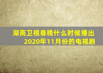 湖南卫视春晚什么时候播出2020年11月份的电视剧