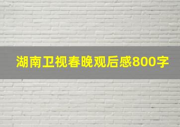 湖南卫视春晚观后感800字