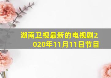 湖南卫视最新的电视剧2020年11月11日节目