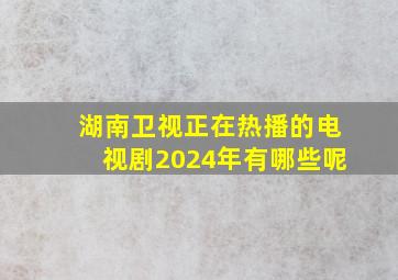 湖南卫视正在热播的电视剧2024年有哪些呢