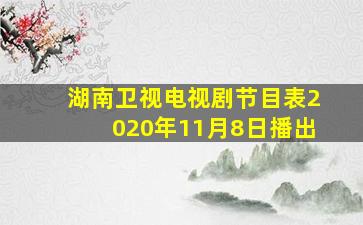 湖南卫视电视剧节目表2020年11月8日播出