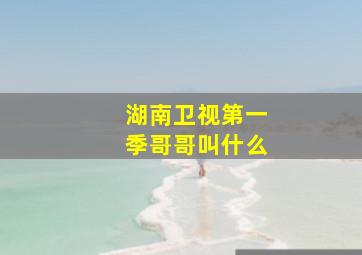 湖南卫视第一季哥哥叫什么