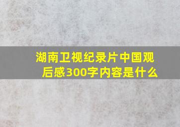 湖南卫视纪录片中国观后感300字内容是什么