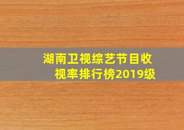 湖南卫视综艺节目收视率排行榜2019级