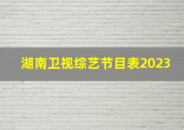 湖南卫视综艺节目表2023