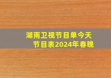 湖南卫视节目单今天节目表2024年春晚