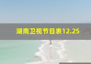 湖南卫视节目表12.25