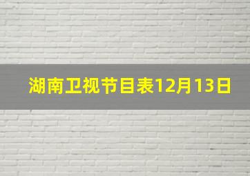 湖南卫视节目表12月13日