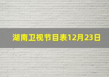 湖南卫视节目表12月23日