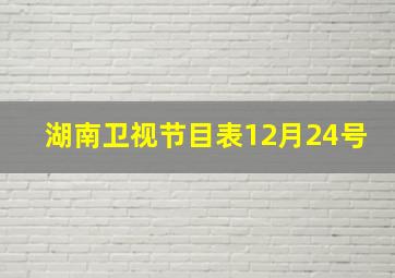 湖南卫视节目表12月24号