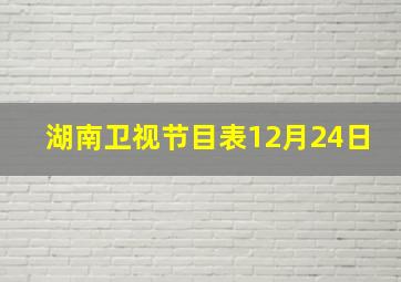 湖南卫视节目表12月24日