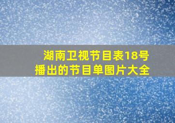 湖南卫视节目表18号播出的节目单图片大全