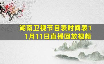 湖南卫视节目表时间表11月11日直播回放视频