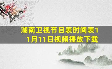 湖南卫视节目表时间表11月11日视频播放下载