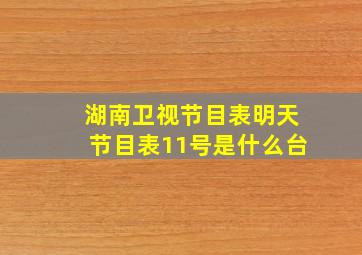 湖南卫视节目表明天节目表11号是什么台