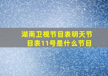 湖南卫视节目表明天节目表11号是什么节目