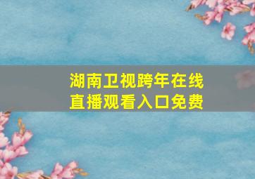 湖南卫视跨年在线直播观看入口免费