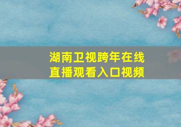 湖南卫视跨年在线直播观看入口视频