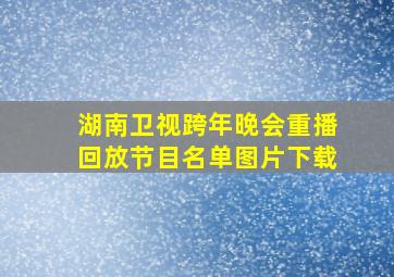 湖南卫视跨年晚会重播回放节目名单图片下载