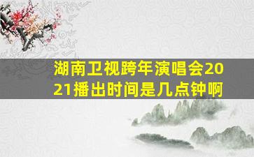 湖南卫视跨年演唱会2021播出时间是几点钟啊