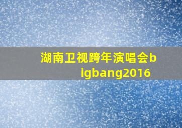 湖南卫视跨年演唱会bigbang2016