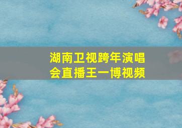 湖南卫视跨年演唱会直播王一博视频