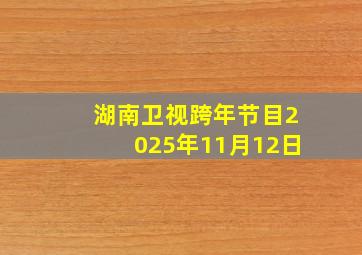 湖南卫视跨年节目2025年11月12日