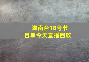 湖南台18号节目单今天直播回放