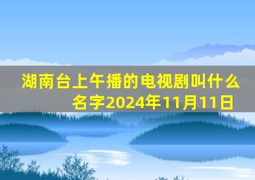 湖南台上午播的电视剧叫什么名字2024年11月11日