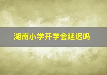 湖南小学开学会延迟吗