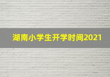 湖南小学生开学时间2021