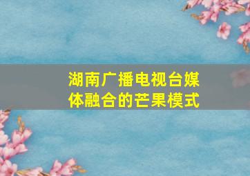 湖南广播电视台媒体融合的芒果模式