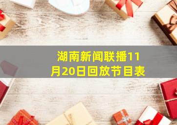 湖南新闻联播11月20日回放节目表