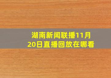 湖南新闻联播11月20日直播回放在哪看