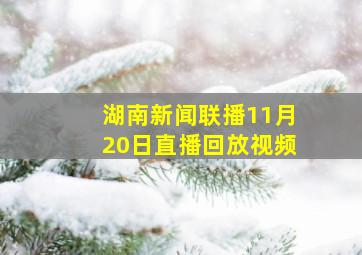 湖南新闻联播11月20日直播回放视频