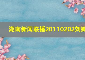 湖南新闻联播20110202刘娜