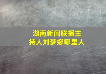 湖南新闻联播主持人刘梦娜哪里人