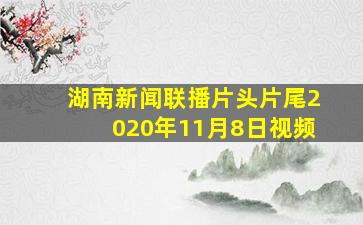 湖南新闻联播片头片尾2020年11月8日视频