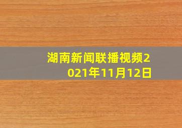 湖南新闻联播视频2021年11月12日