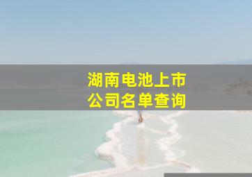 湖南电池上市公司名单查询