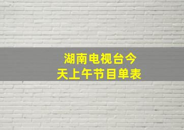 湖南电视台今天上午节目单表