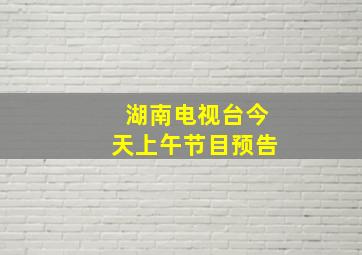 湖南电视台今天上午节目预告